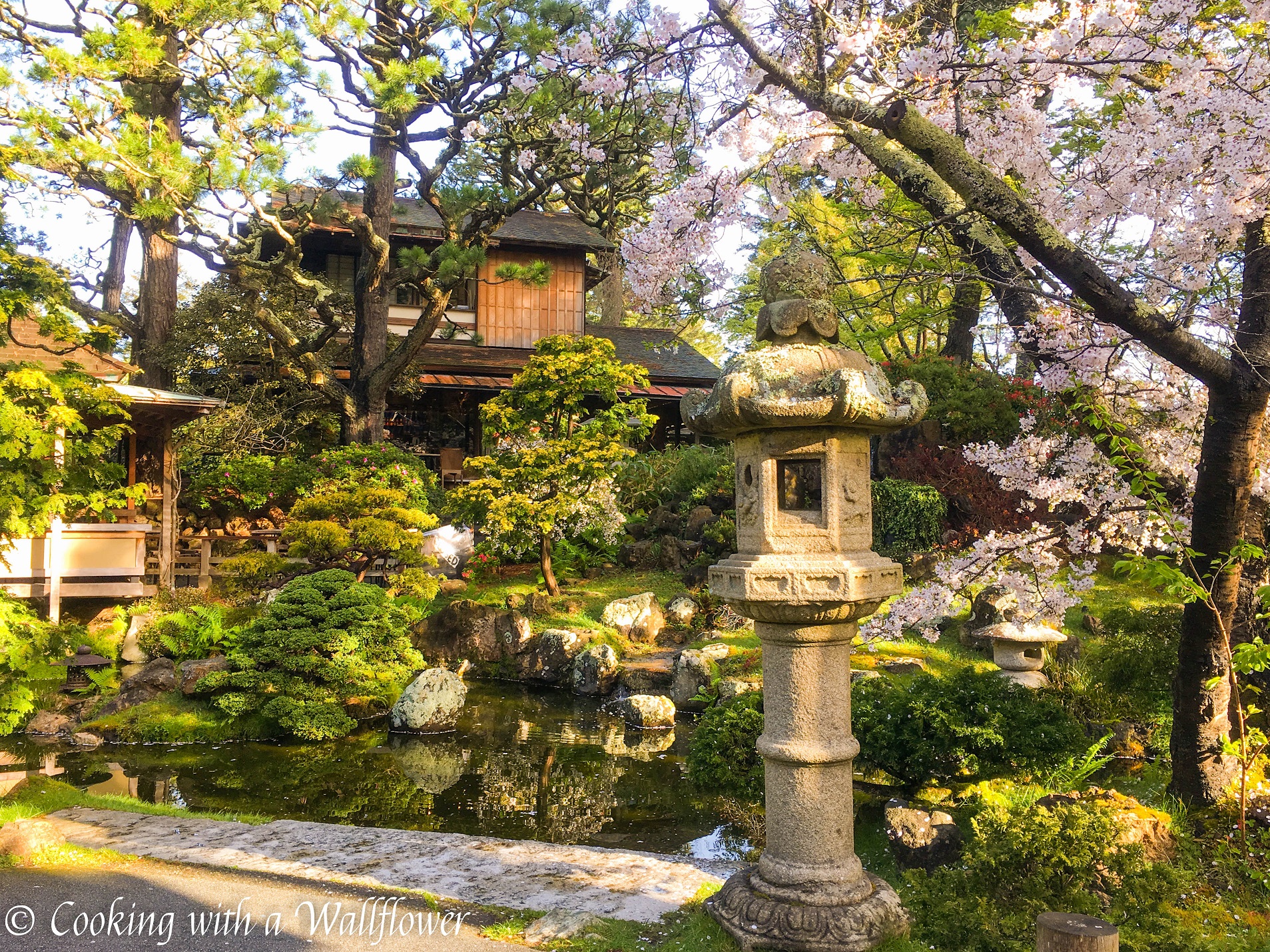 Destination: Japanese Tea Garden - Cooking with a Wallflower