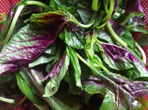 Garlic Red Amaranth Stir Fry - Cooking with a Wallflower