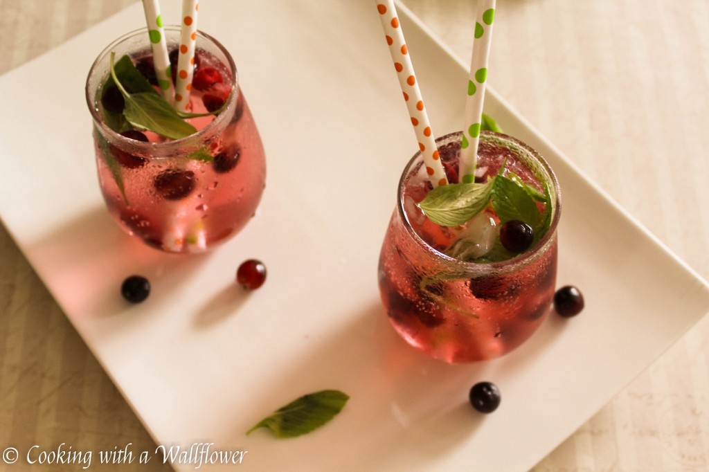 Cranberry Mint Lime Sparkling Water 3