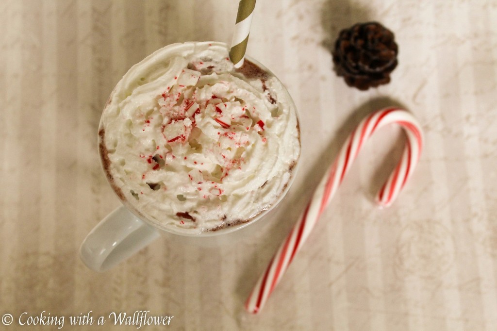 Peppermint Hot Chocolate 5