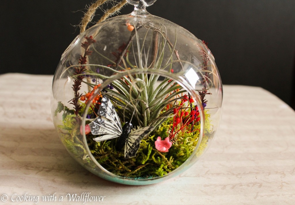 Terrarium