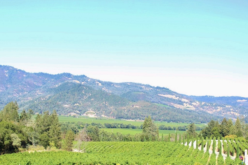 Napa Valley