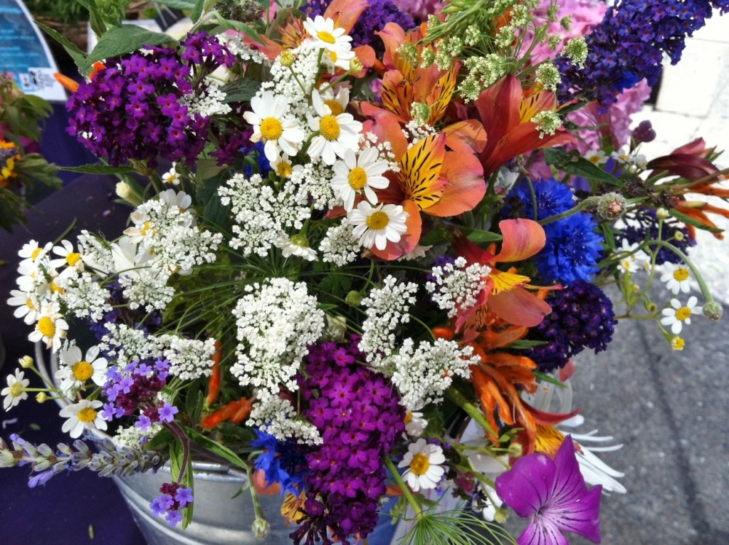 Farmer's Market Flowers