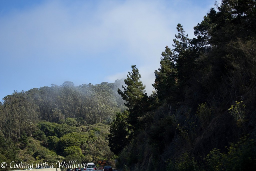 Napa Valley | Cooking with a Wallflower