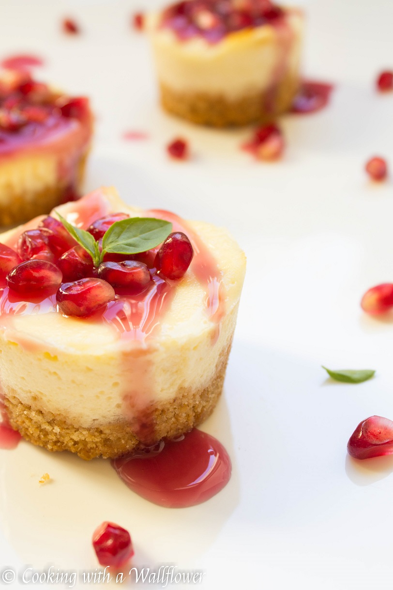 Mini Vanilla Cheesecake with Pomegranate Sauce