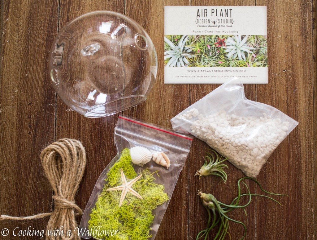 Seaside Air Plant Terrarium | Cooking with a Wallflower