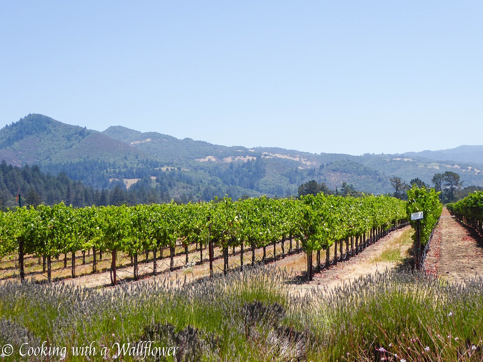 Sonoma Valley | Cooking with a Wallflower