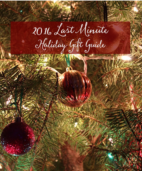 2016 Last Minute Holiday Gift Guide