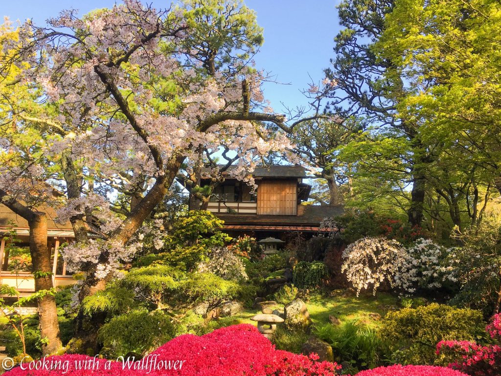 Japanese Tea Garden | Cooking with a Wallflower