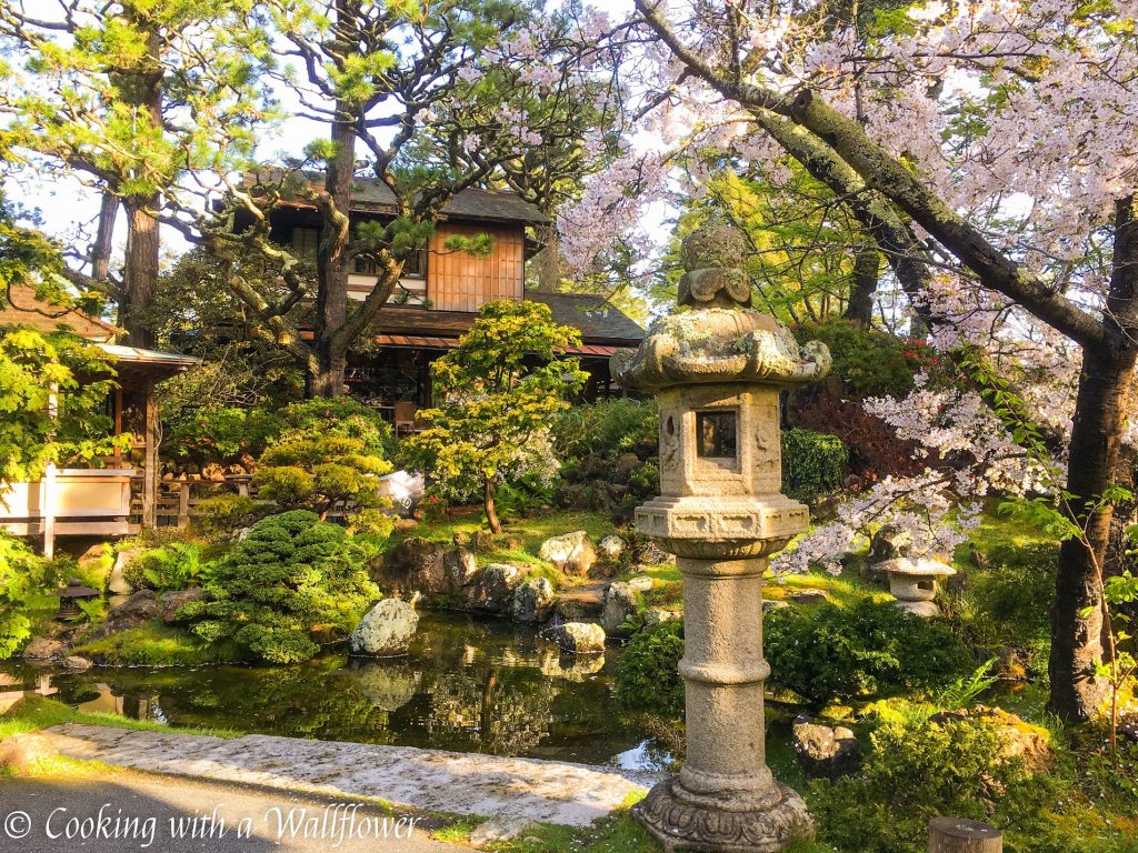 Japanese Tea Garden | Cooking with a Wallflower