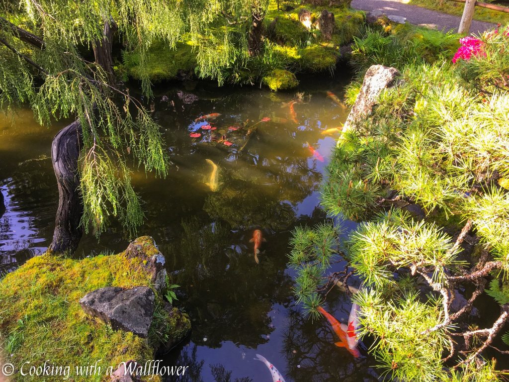 Japanese Tea Garden | Cooking with a Wallflower