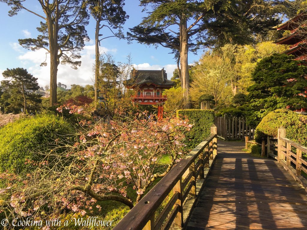 Japanese Tea Garden | Cooking with a Wallflower