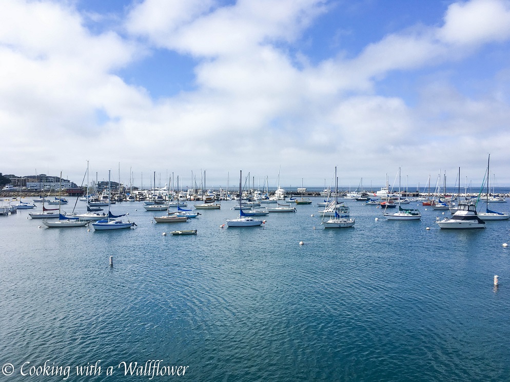 Destination: Monterey | Cooking with a Wallflower