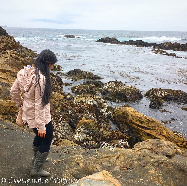 Destination: Point Lobos State Reserve