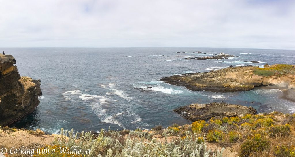 Point Lobos State Reserve | Cooking with a Wallflower