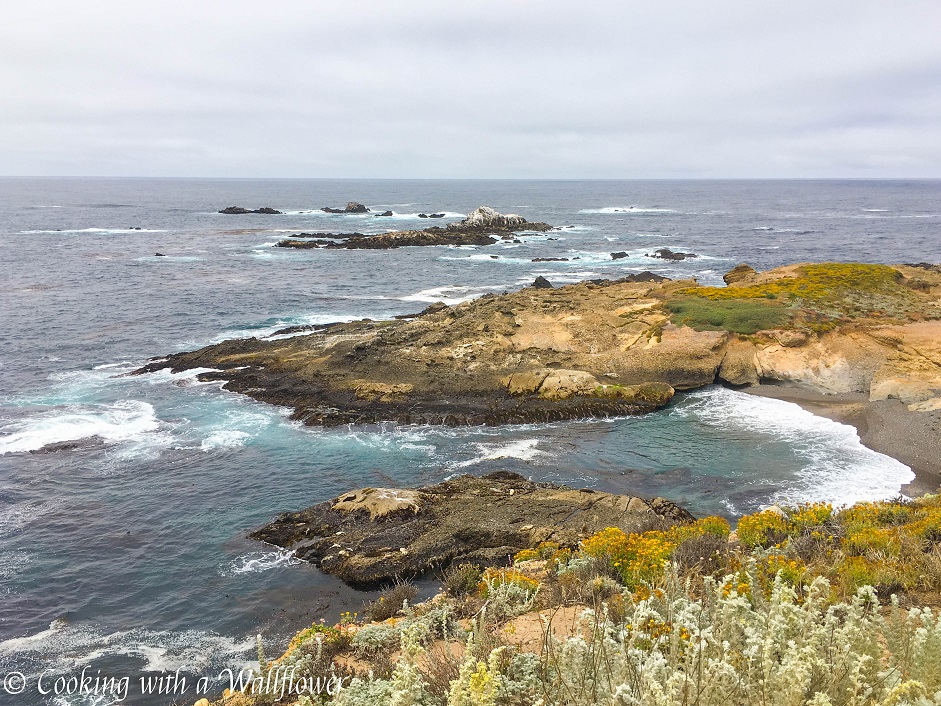 Point Lobos State Reserve | Cooking with a Wallflower