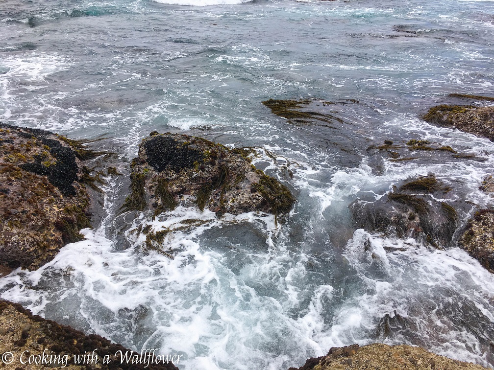Point Lobos State Reserve | Cooking with a Wallflower