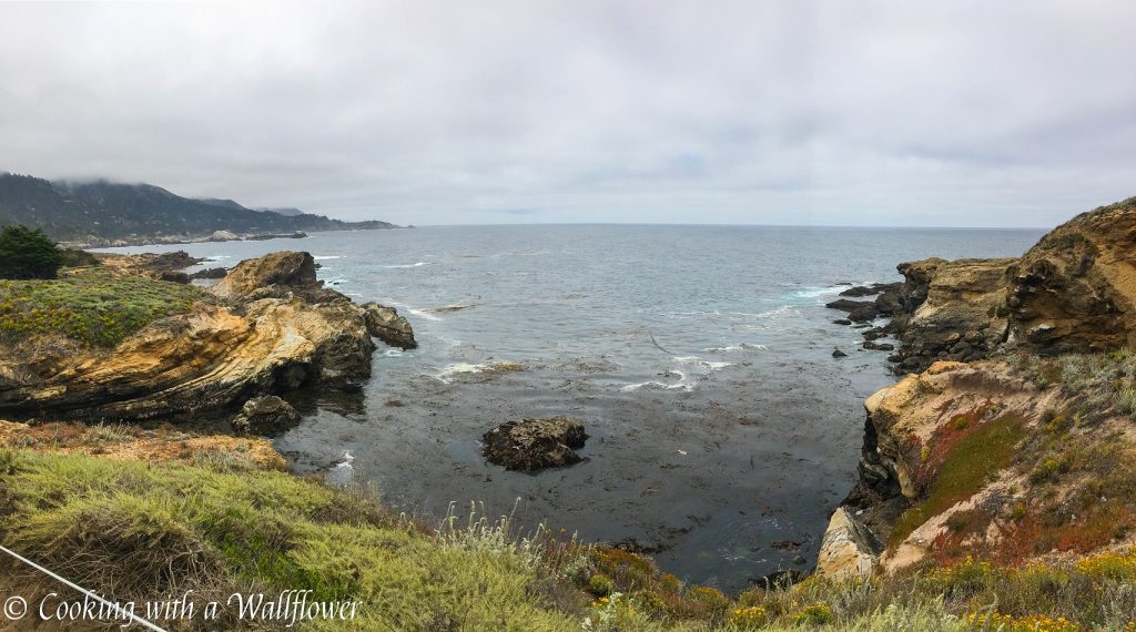 Point Lobos State Reserve | Cooking with a Wallflower