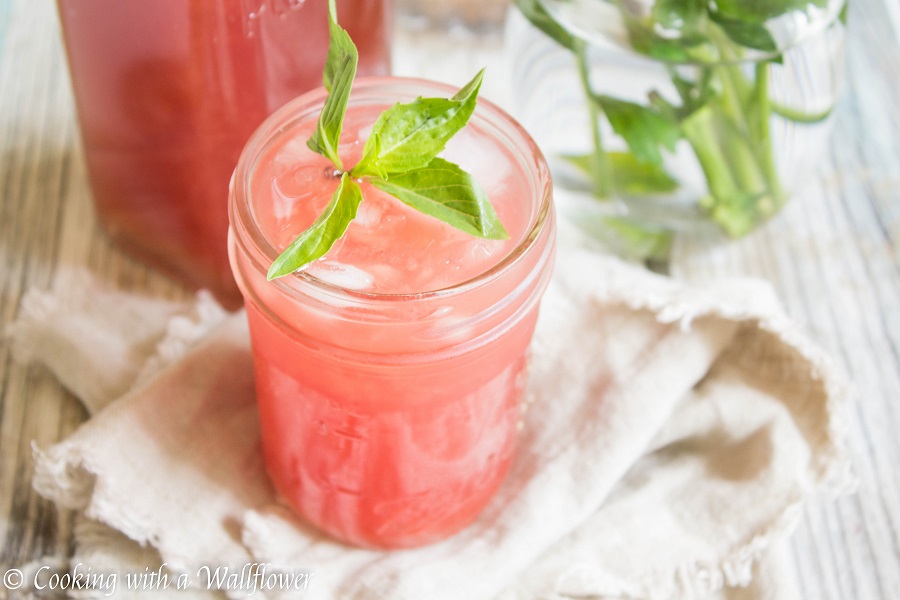 Watermelon Hibiscus Sparkling Soda