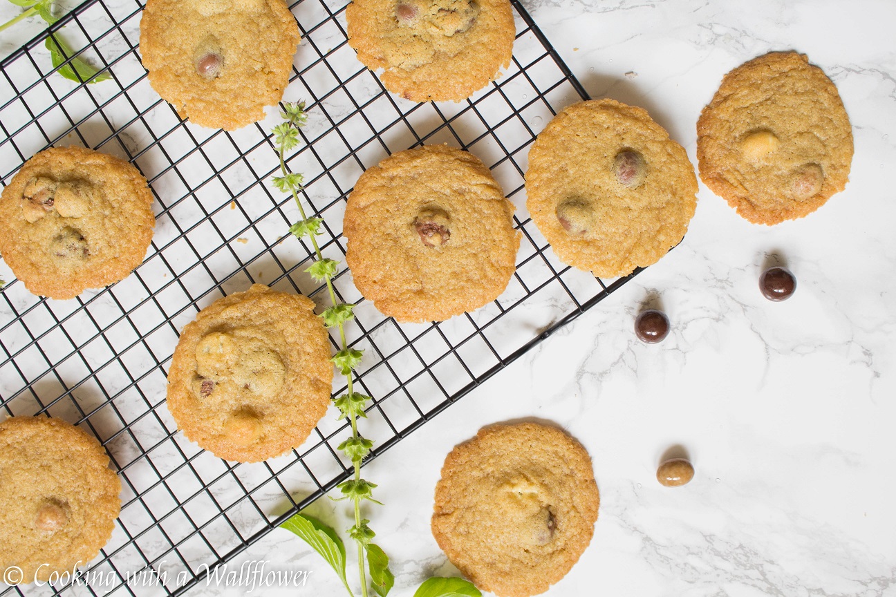 Chocolate Covered Espresso Bean Cookies + a Giveaway