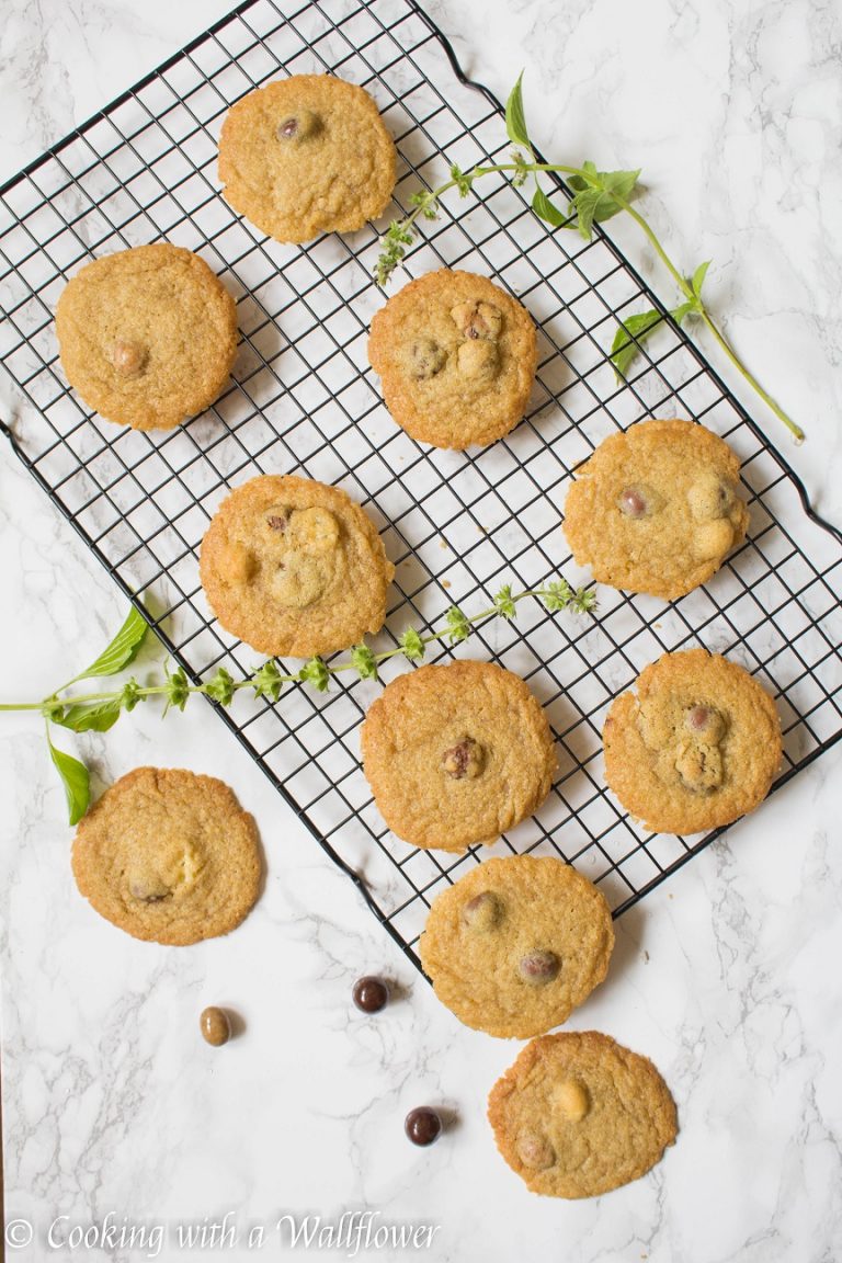 Chocolate Covered Espresso Bean Cookies