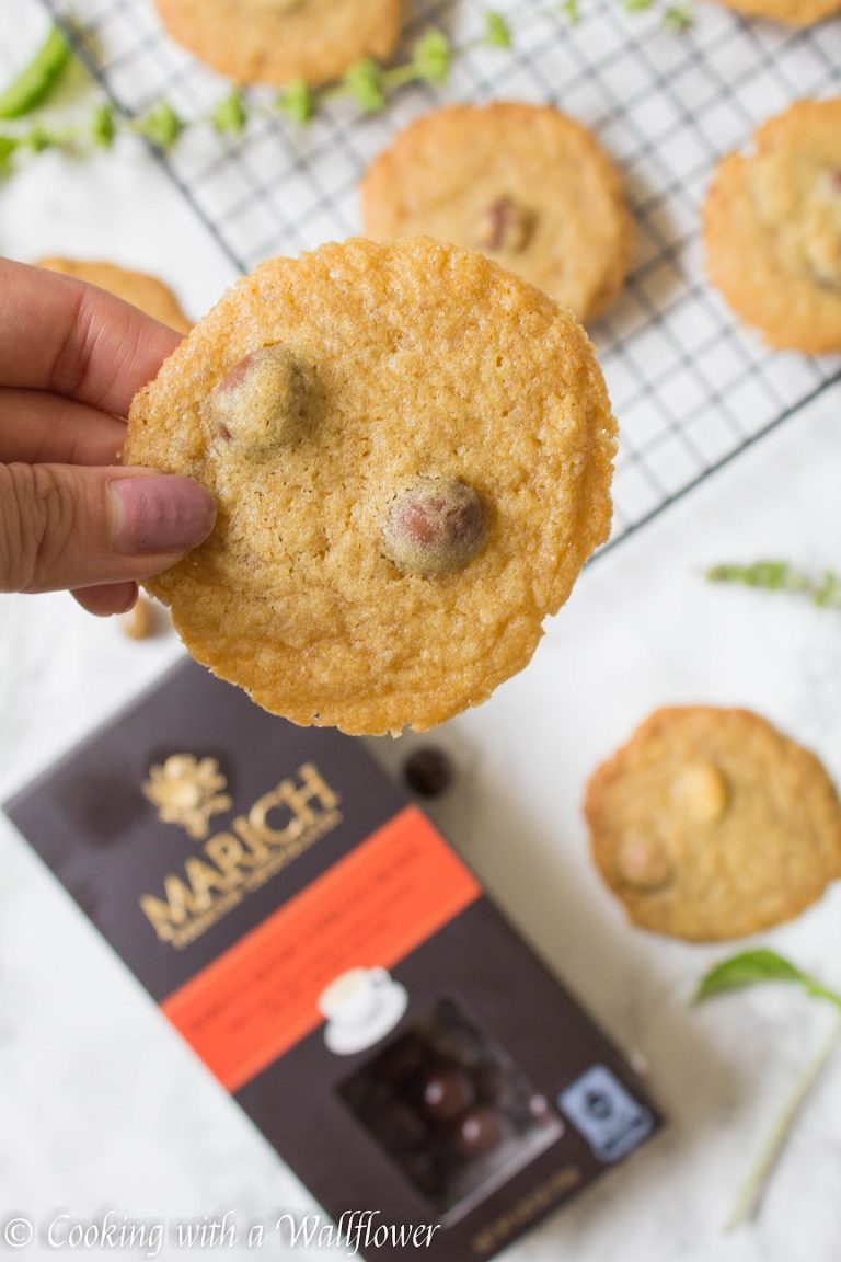 Chocolate Covered Espresso Bean Cookies