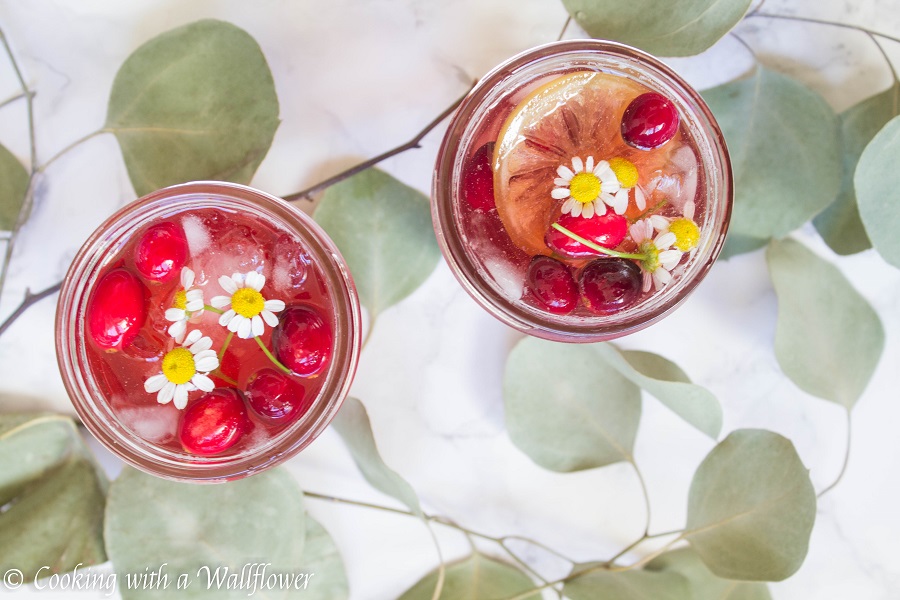 Cranberry Hibiscus Iced Tea