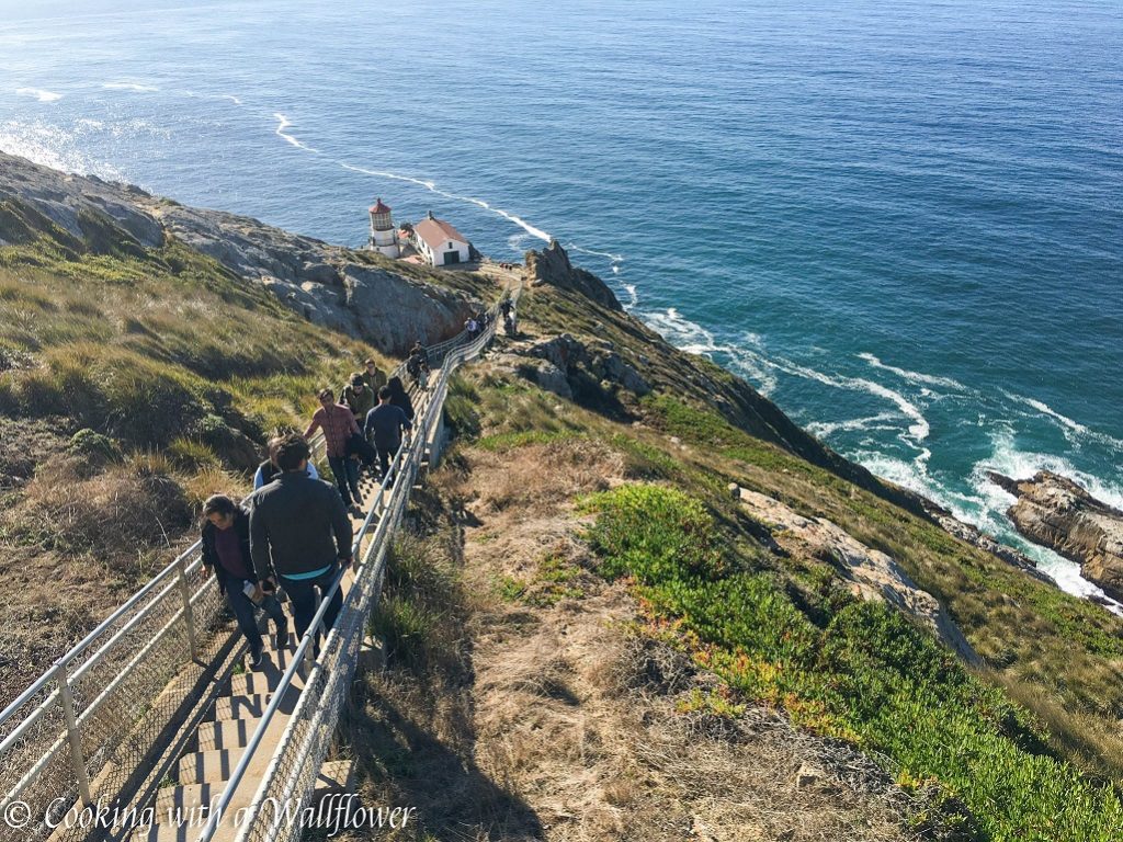 Destination: Point Reyes | Cooking with a Wallflower