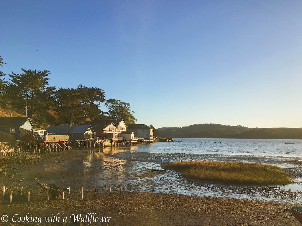 Destination: Point Reyes | Cooking with a Wallflower