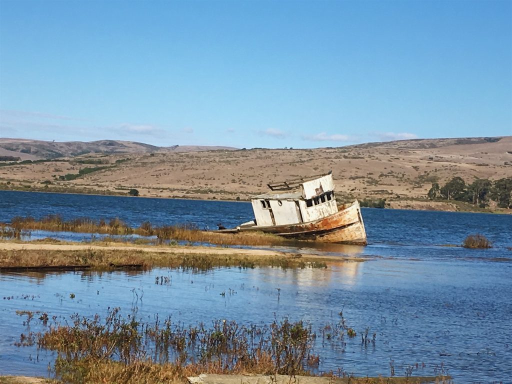 Destination: Point Reyes | Cooking with a Wallflower