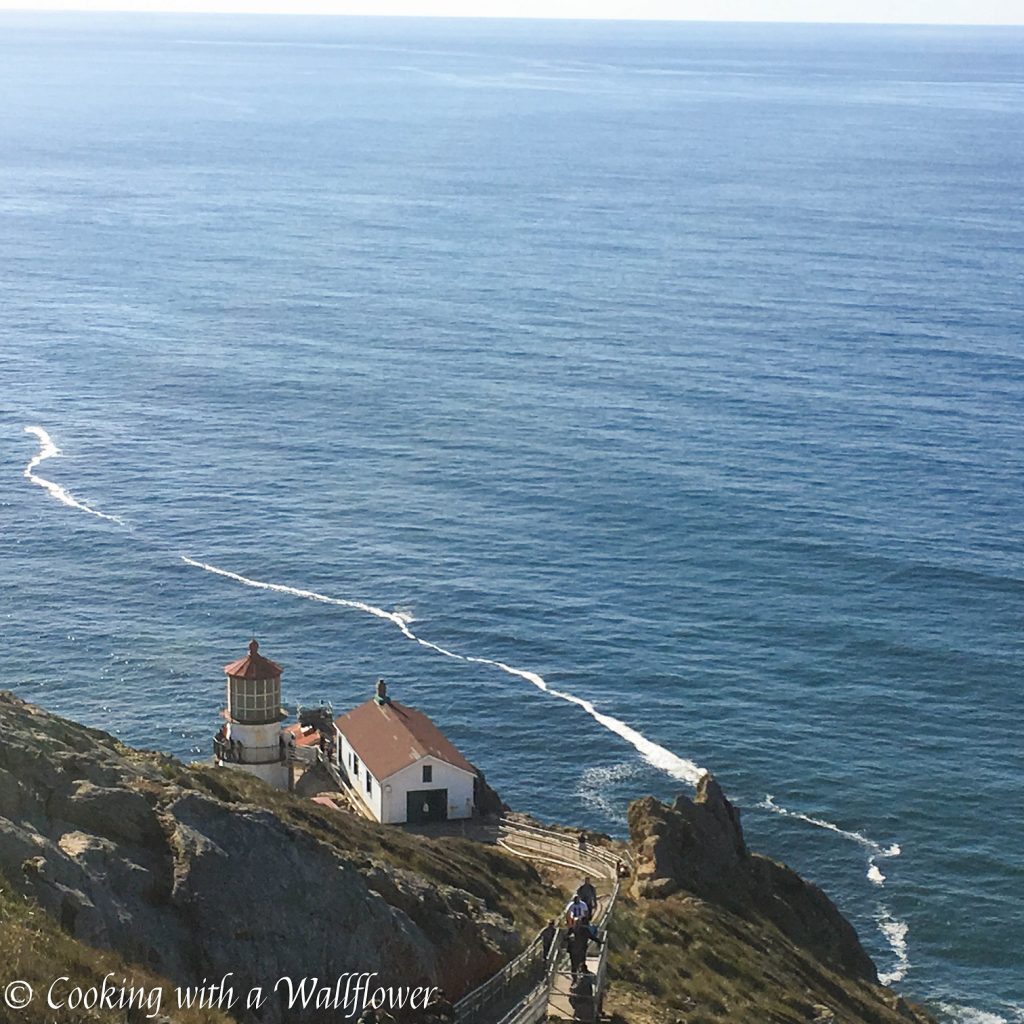 Destination: Point Reyes | Cooking with a Wallflower
