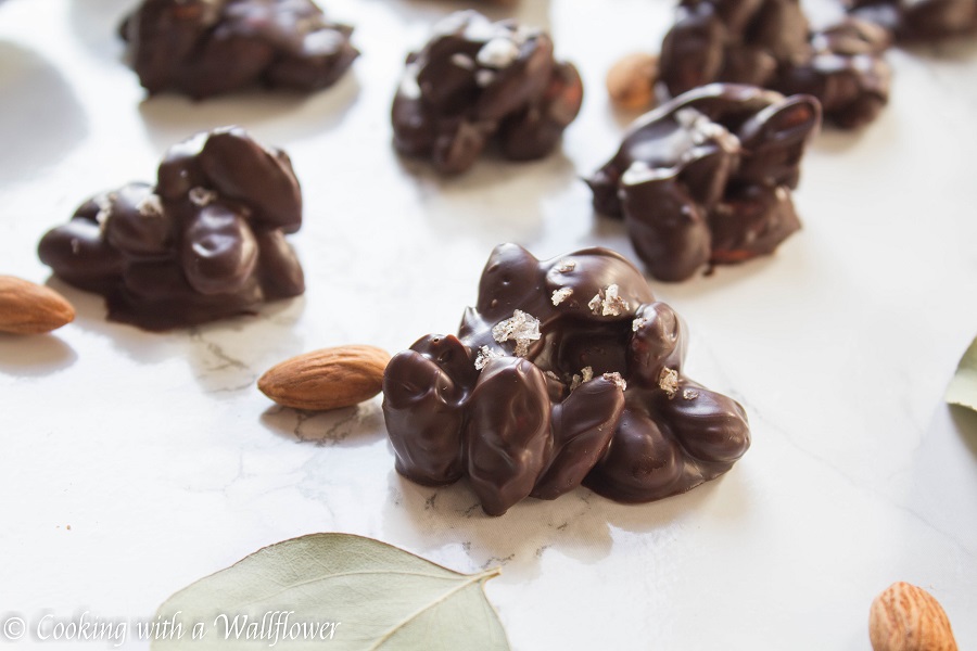 Chocolate Covered Almond Clusters