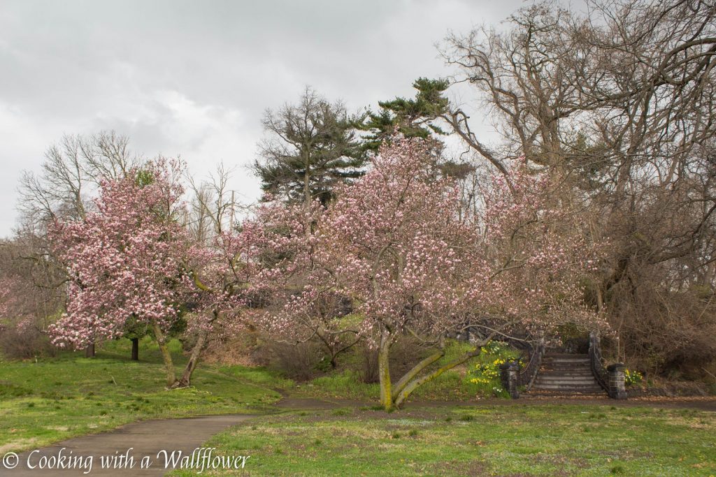 Philadelphia's Museum District  | Cooking with a Wallflower