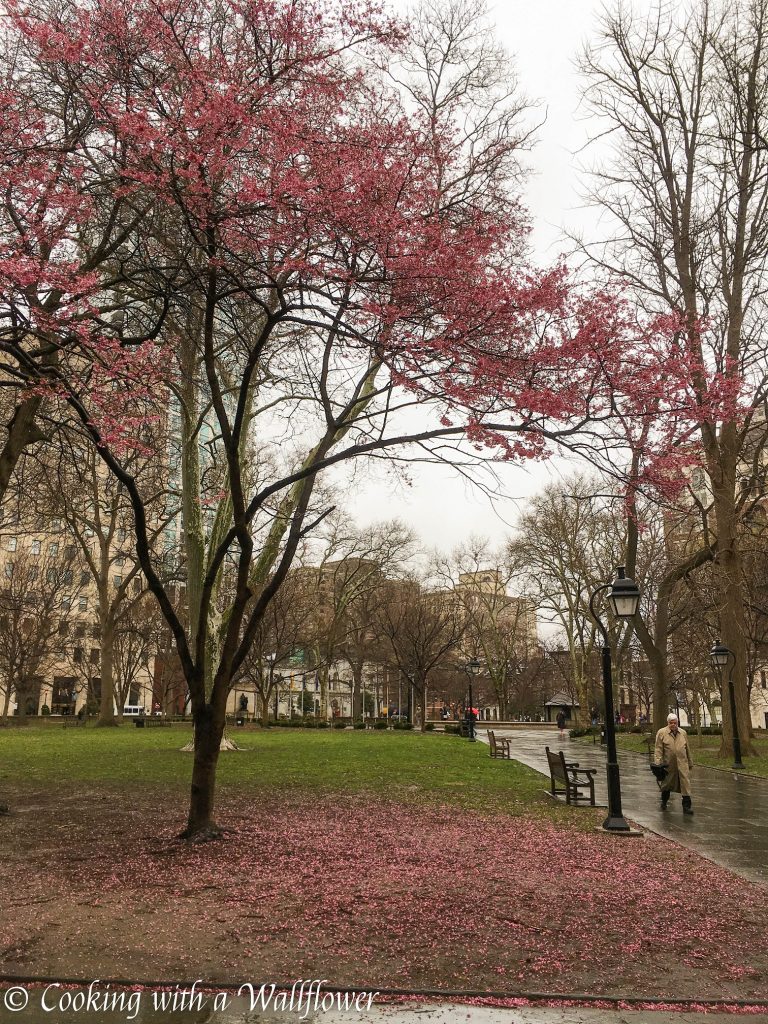 Philadelphia's Old City | Cooking with a Wallflower