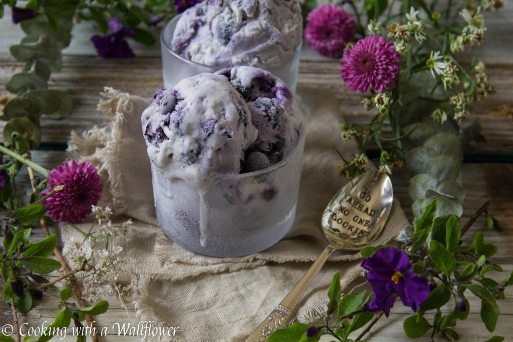 No Churn Blueberry Ice Cream | Cooking with a Wallflower