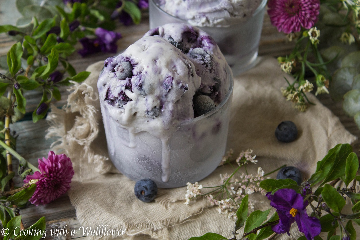 Blueberry Ice Cream (No Churn)