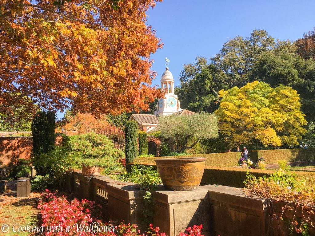 Filoli | Cooking with a Wallflower