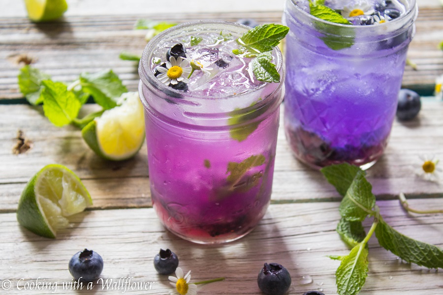 Blueberry Gin Mojito