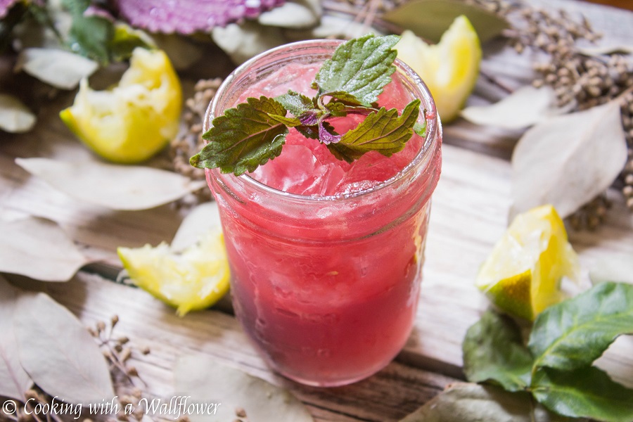 Watermelon Gimlet | Cooking with a Wallflower