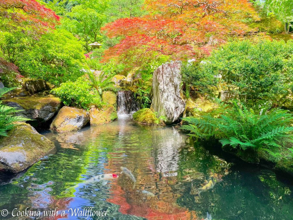 Portland Japanese Tea Garden