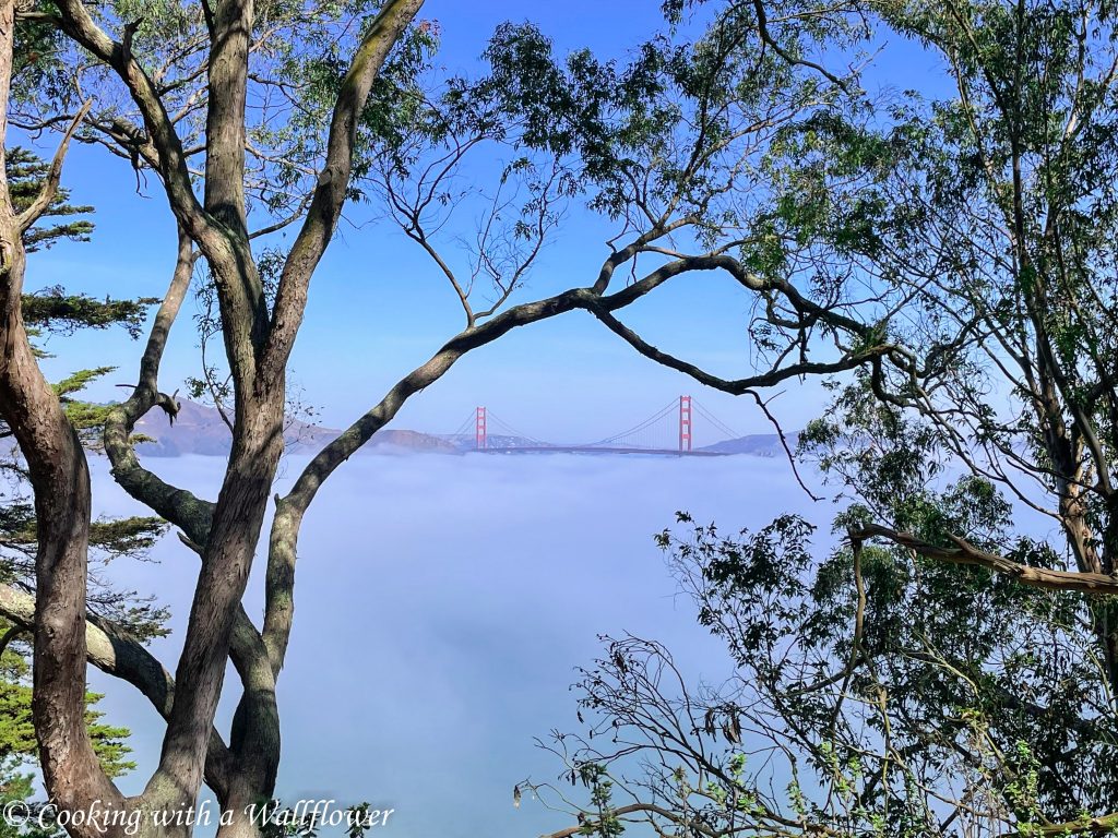 Golden Gate Bridge