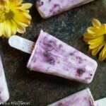 Blueberry Honey Greek Yogurt Popsicles | Cooking with a Wallflower